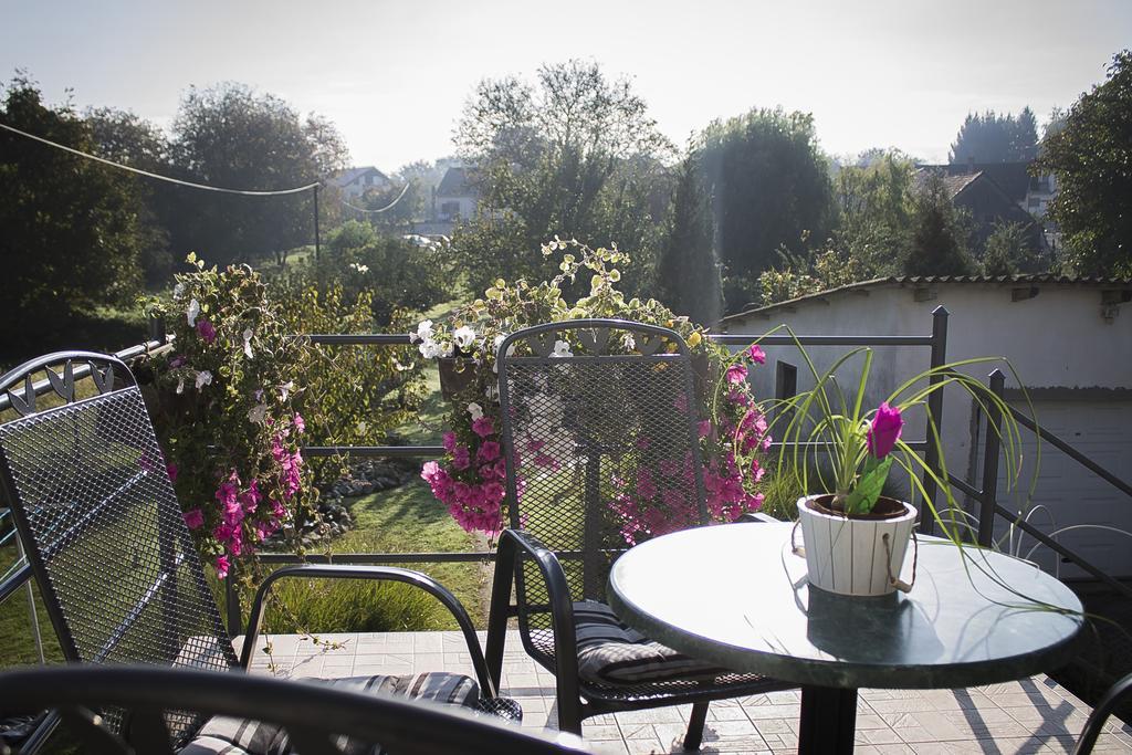 Apartmani Anna Sveti Martin Na Muri Buitenkant foto
